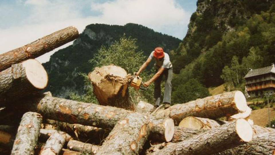 84176_413903_SF04000000_7676972_v3_xl_16_9